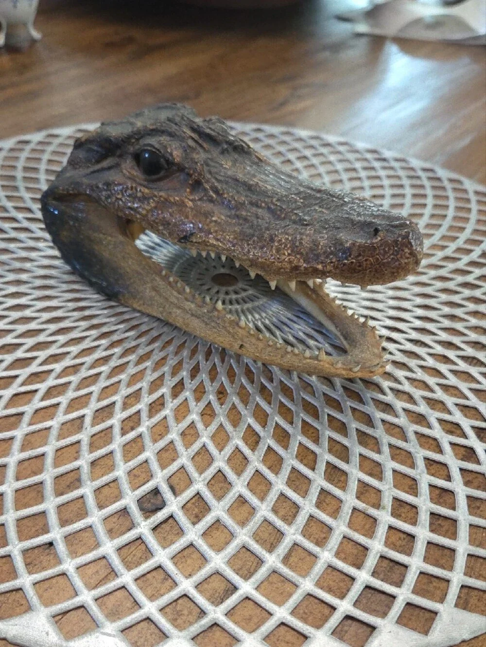 Decorative Alligator Head